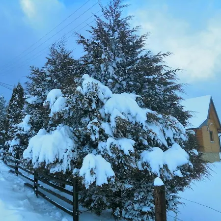 Tarin Zov 卡鲁德杰尔斯科巴尔