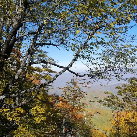 Appartement Tarin Zov *