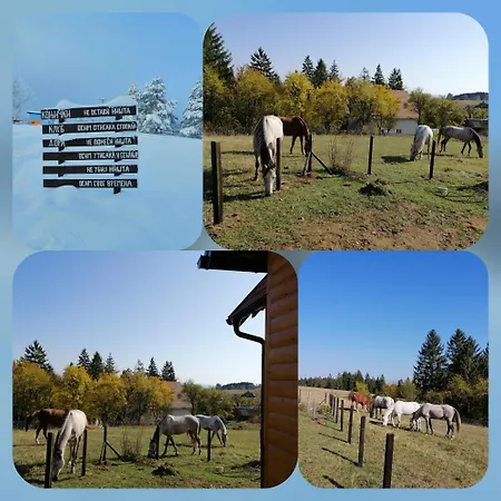 Tarin Zov Kaludjerske Bare