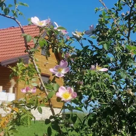 Apartmán Tarin Zov Kaludjerske Bare