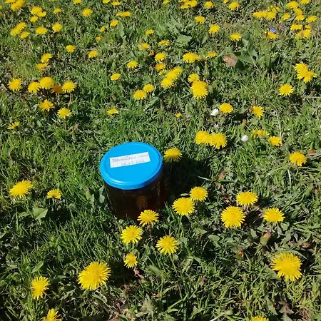 Tarin Zov * 卡鲁德杰尔斯科巴尔