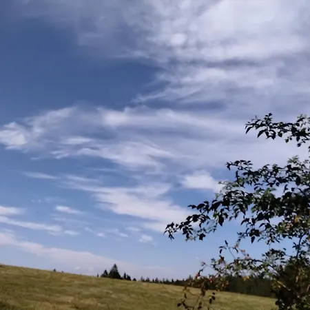 Apartmán Tarin Zov *