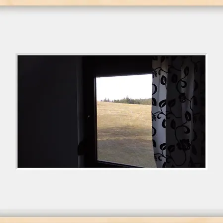 Tarin Zov * Kaludjerske Bare