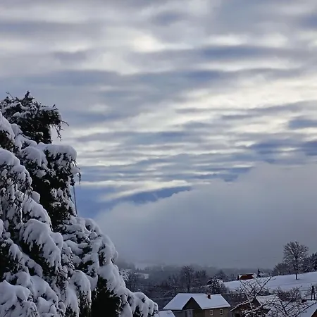 Tarin Zov 卡鲁德杰尔斯科巴尔