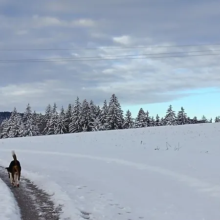 Tarin Zov * 卡鲁德杰尔斯科巴尔