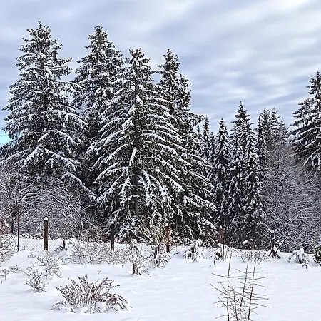 Tarin Zov * 卡鲁德杰尔斯科巴尔