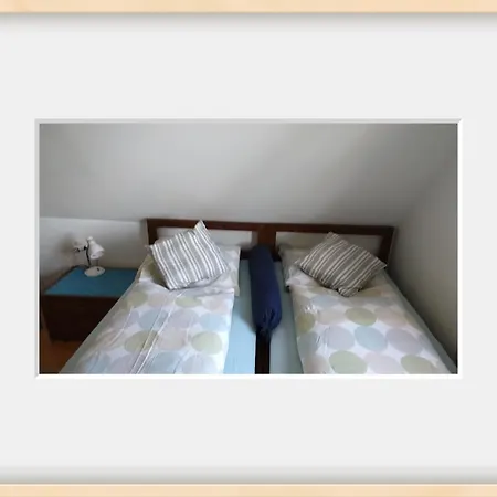 Tarin Zov * 卡鲁德杰尔斯科巴尔