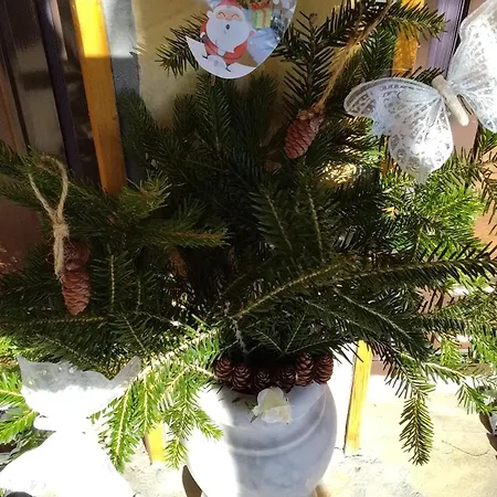 Appartement Tarin Zov