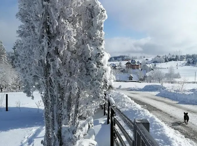 Appartement Tarin Zov *