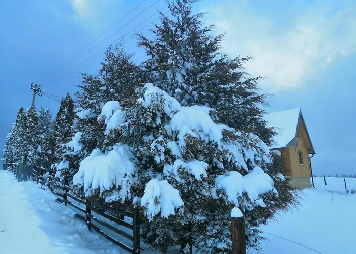 Tarin Zov Kaludjerske Bare
