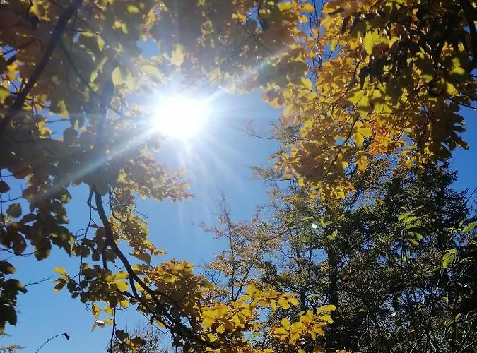 Tarin Zov Appartement *