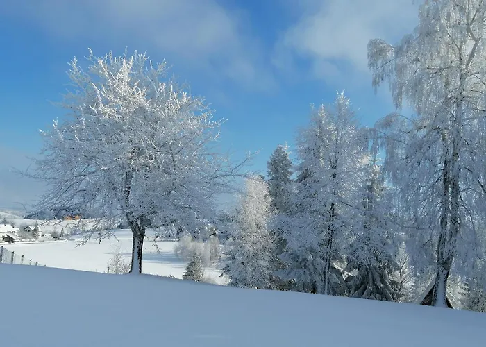 Tarin Zov Appartement