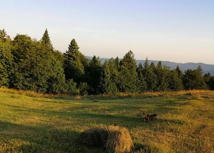 Tarin Zov Apartment *