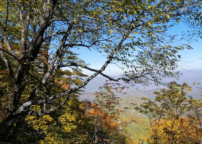 Appartement Tarin Zov *