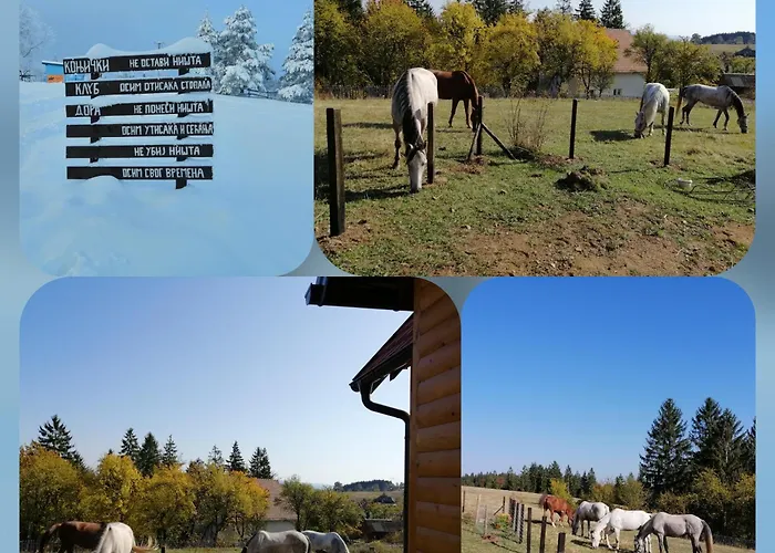 Tarin Zov Kaludjerske Bare