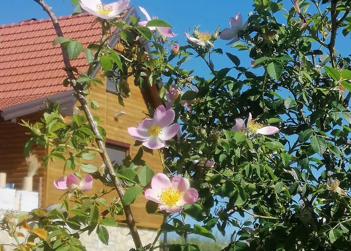 Apartment Tarin Zov Kaludjerske Bare