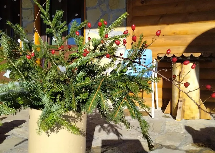 Tarin Zov Appartement