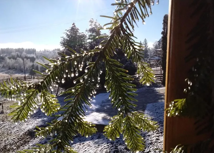 Appartement Tarin Zov