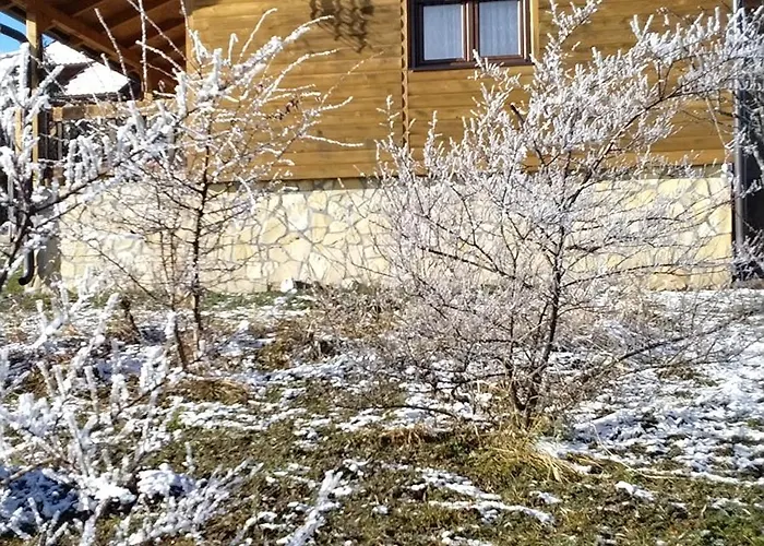 Tarin Zov Appartement *